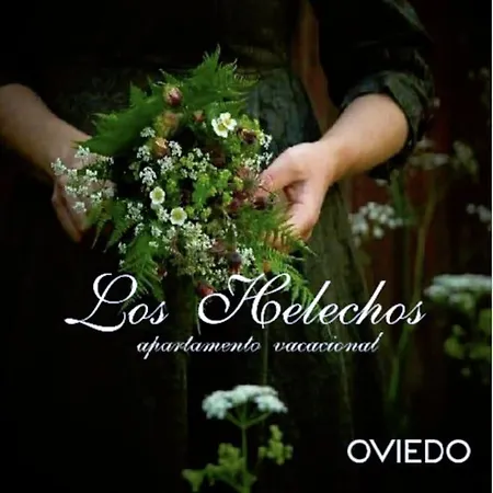 Centrico Con Parking Y Wifi Gratis Oviédo