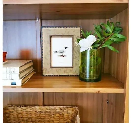 公寓 Centrico Con Parking Y Wifi Gratis *