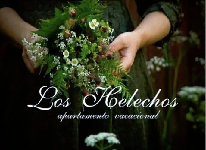 Centrico Con Parking Y Wifi Gratis Oviedo